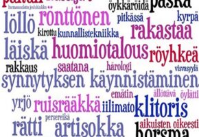 Слова на финском языке